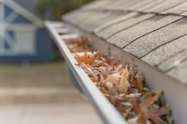 Leaf Barrier Installation